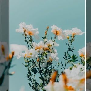 Meet your Posher, Bri